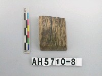 藏品(磨製石錛)的圖片